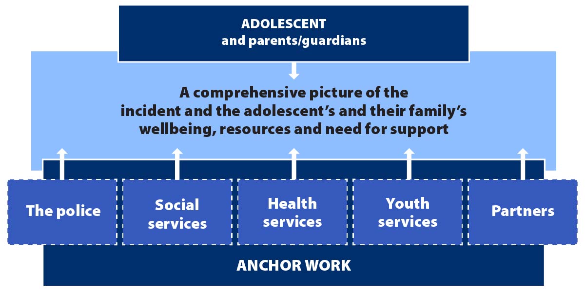 Figure 2 describes interaction between different actors, adolescent and their parents or guardians. The end result is a comprehensive picture of incident and their family's wellbeing, resources and need for support.