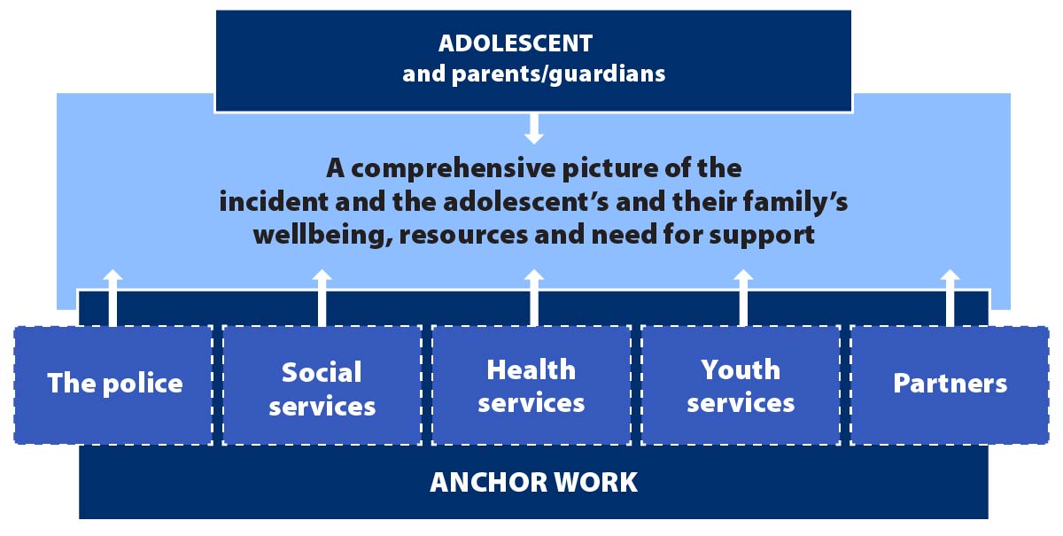 Figure 2 describes interaction between different actors, adolescent and their parents or guardians. The end result is a comprehensive picture of incident and their family's wellbeing, resources and need for support.